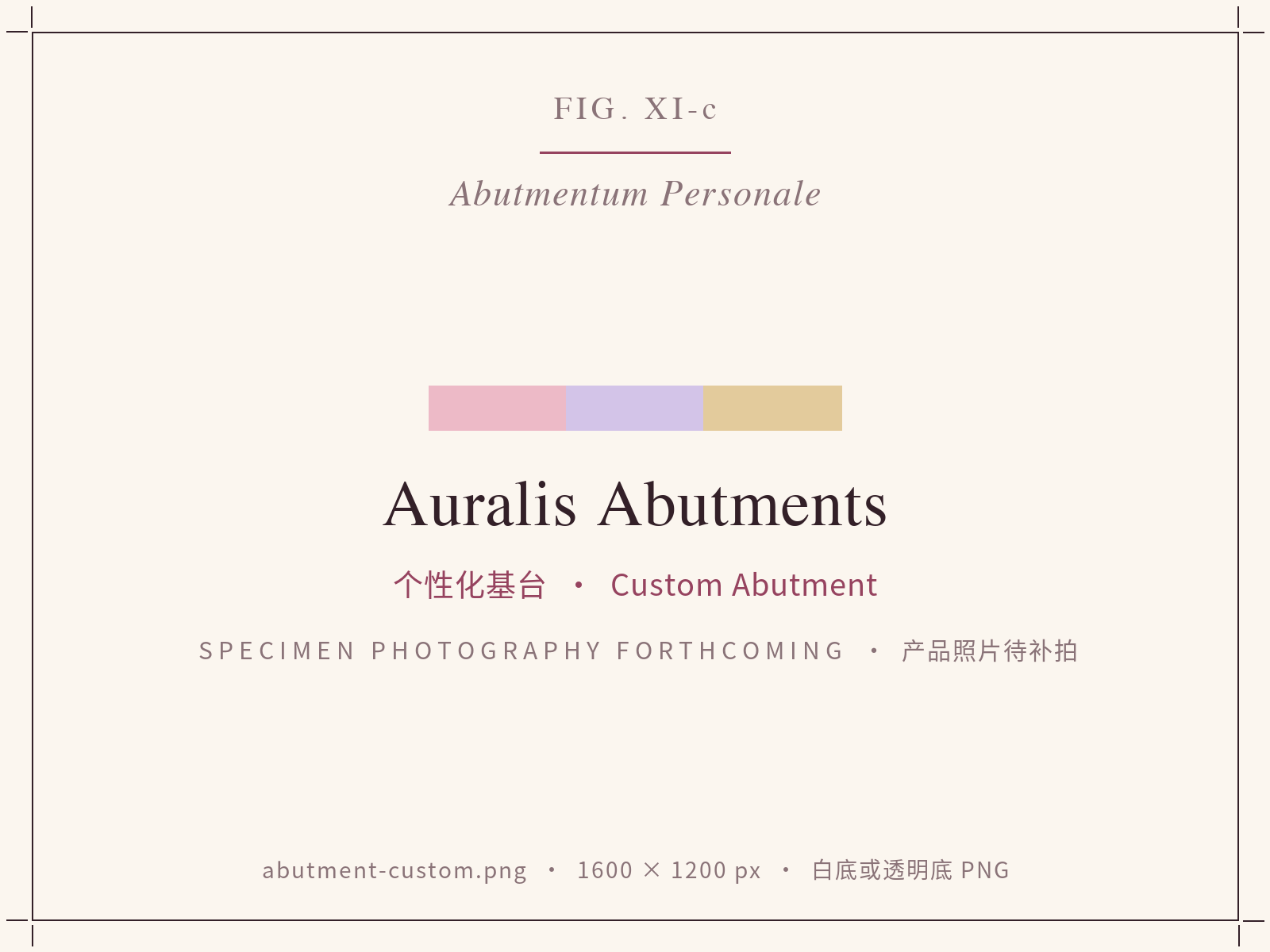 Auralis custom CAD-milled titanium abutment