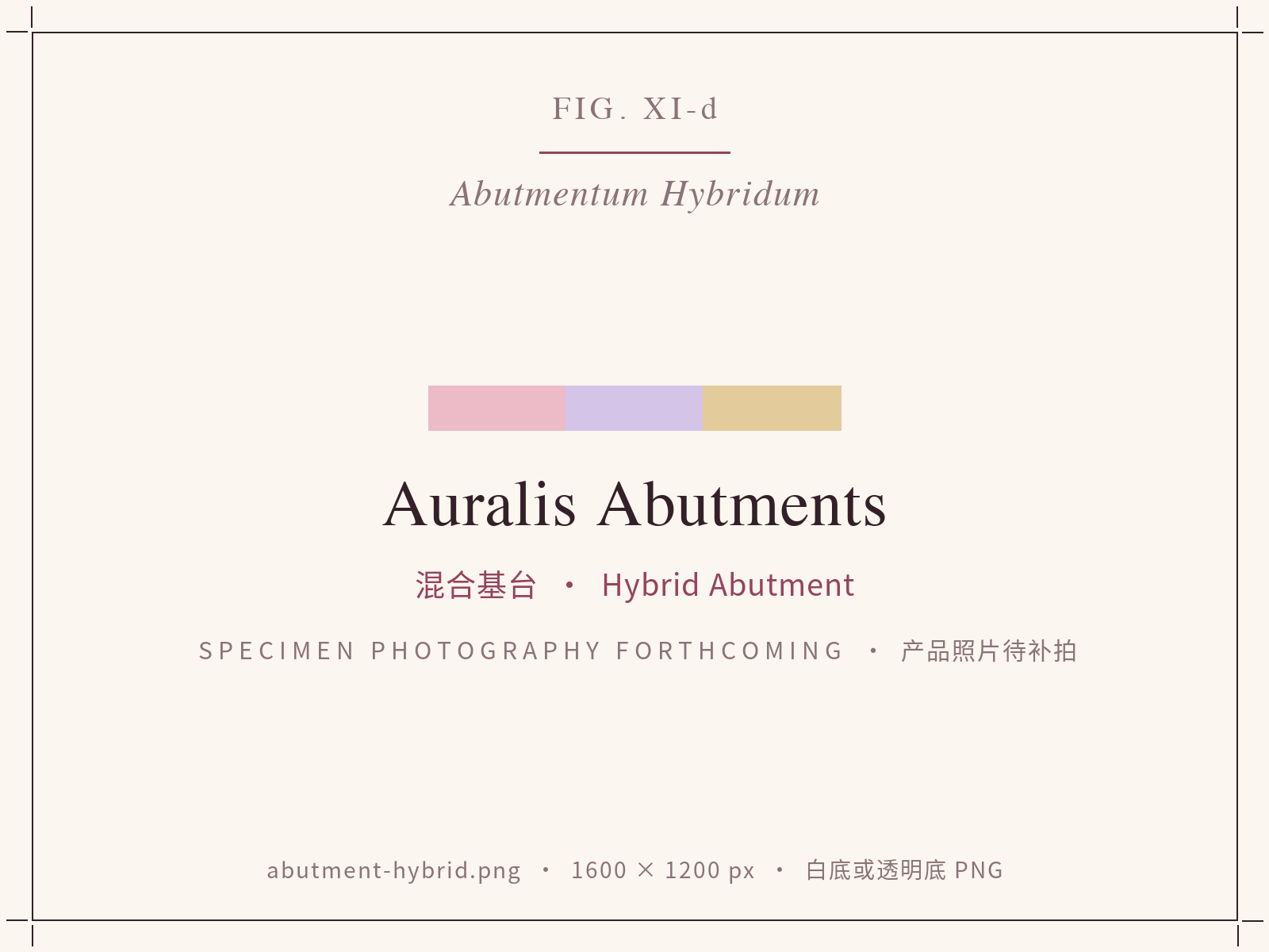 Auralis hybrid abutment with Ti-Base and zirconia mesostructure