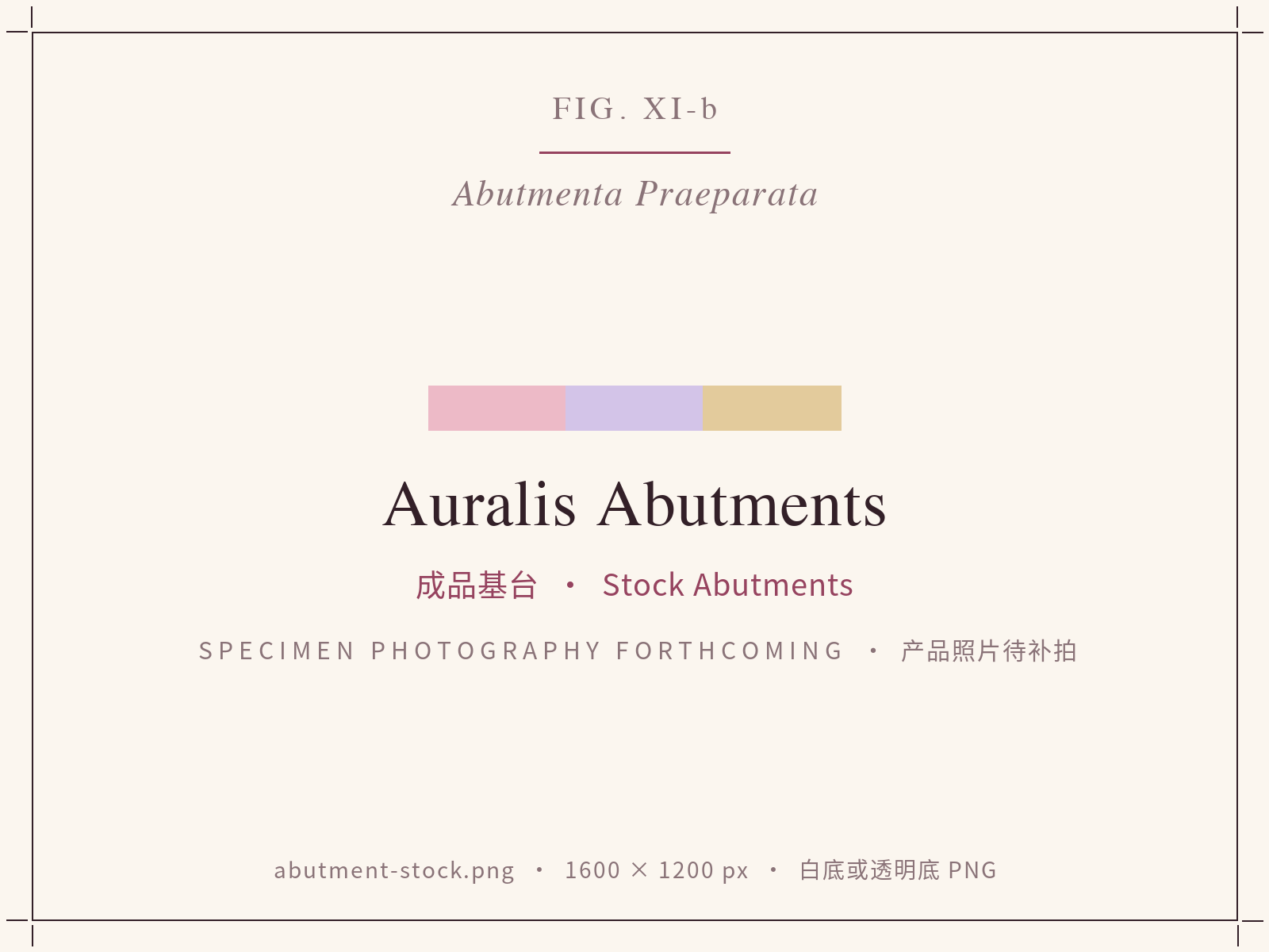 Auralis stock abutments in straight and angled forms