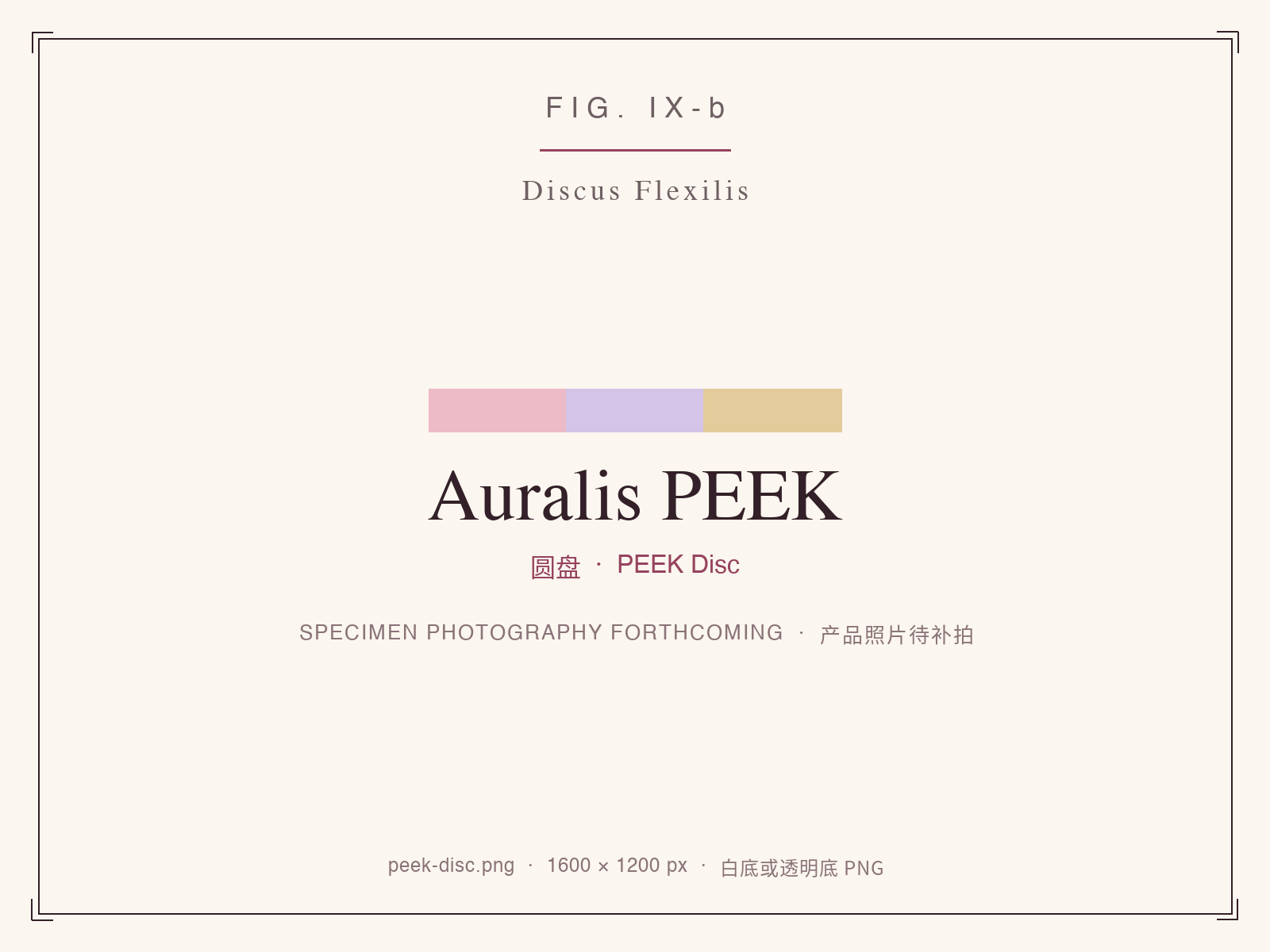 Auralis PEEK milling discs