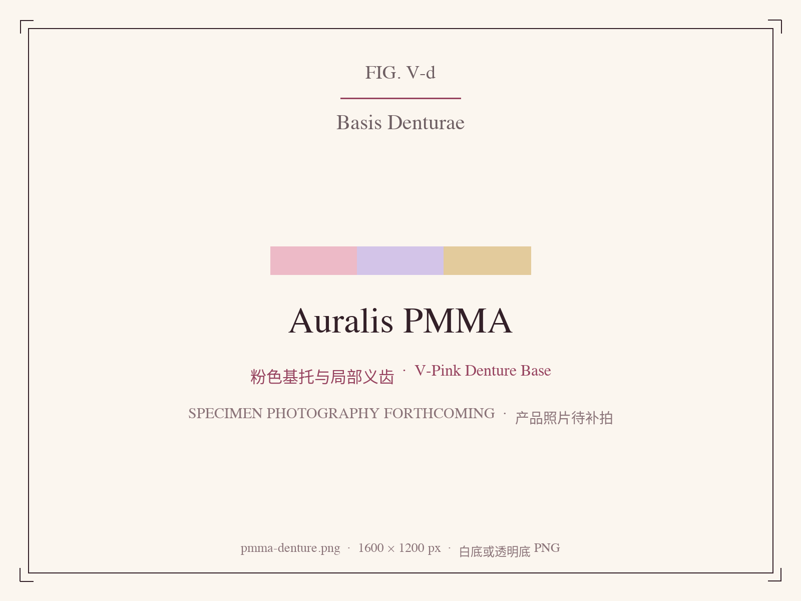 V-Pink PMMA denture base and partial denture