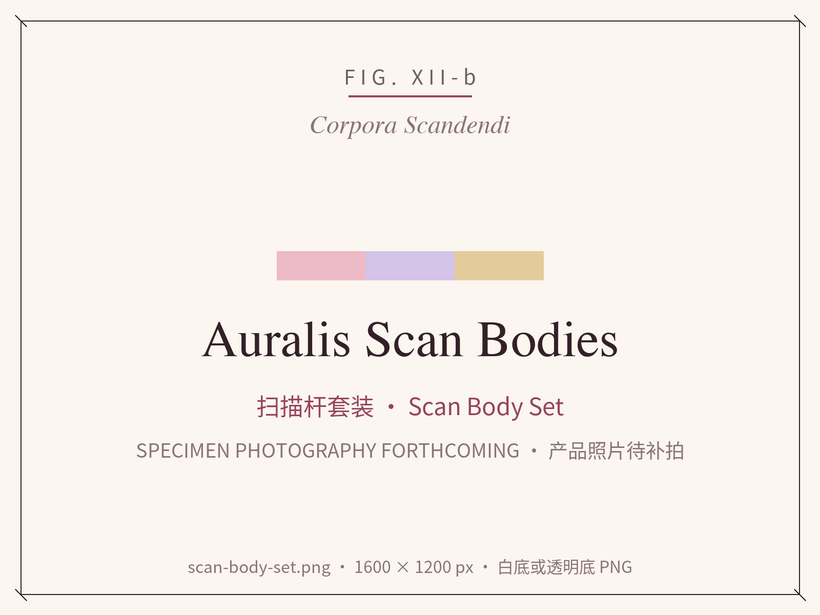 Auralis Scan Body set, three tiers