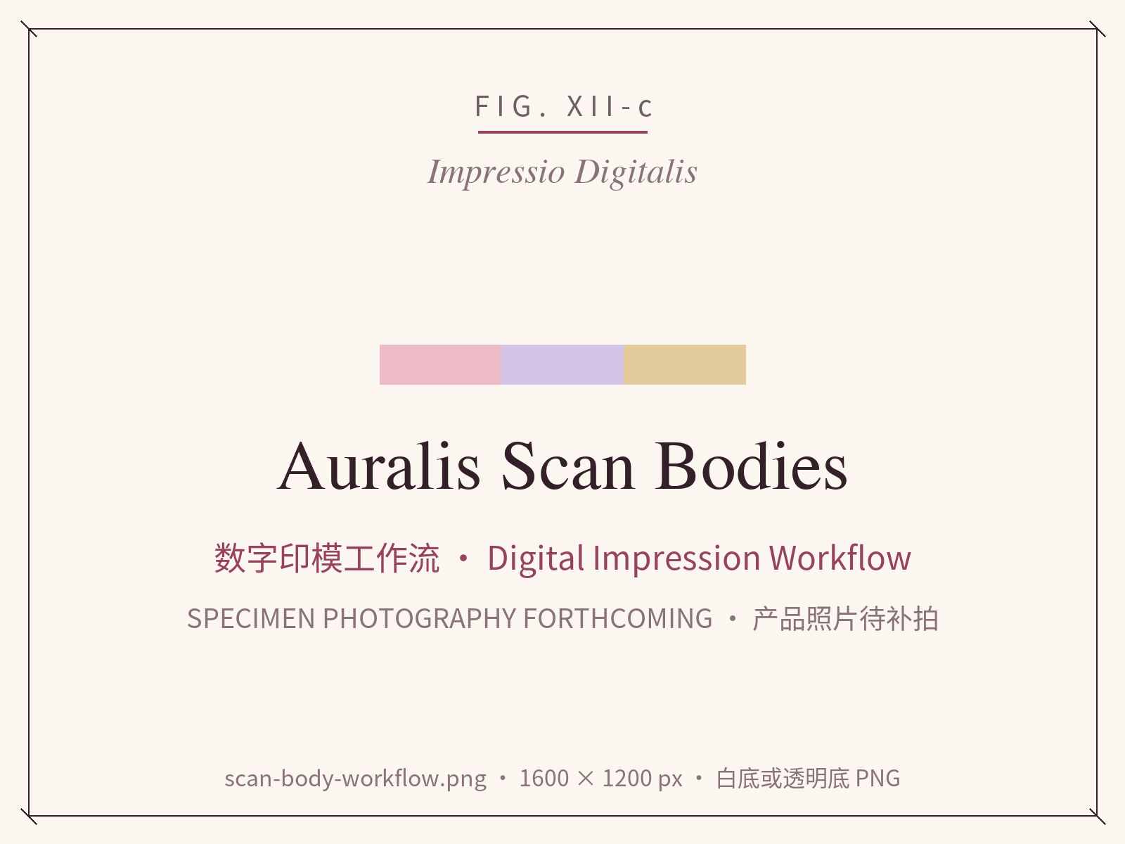 Digital impression workflow with scan bodies