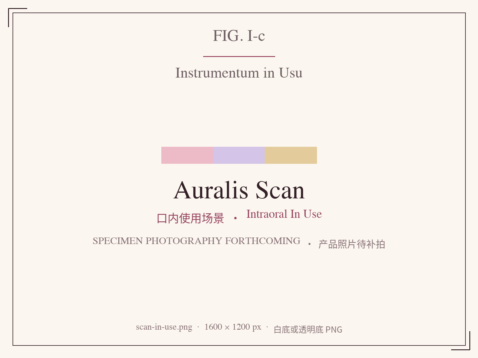 Auralis Scan IO in chairside use