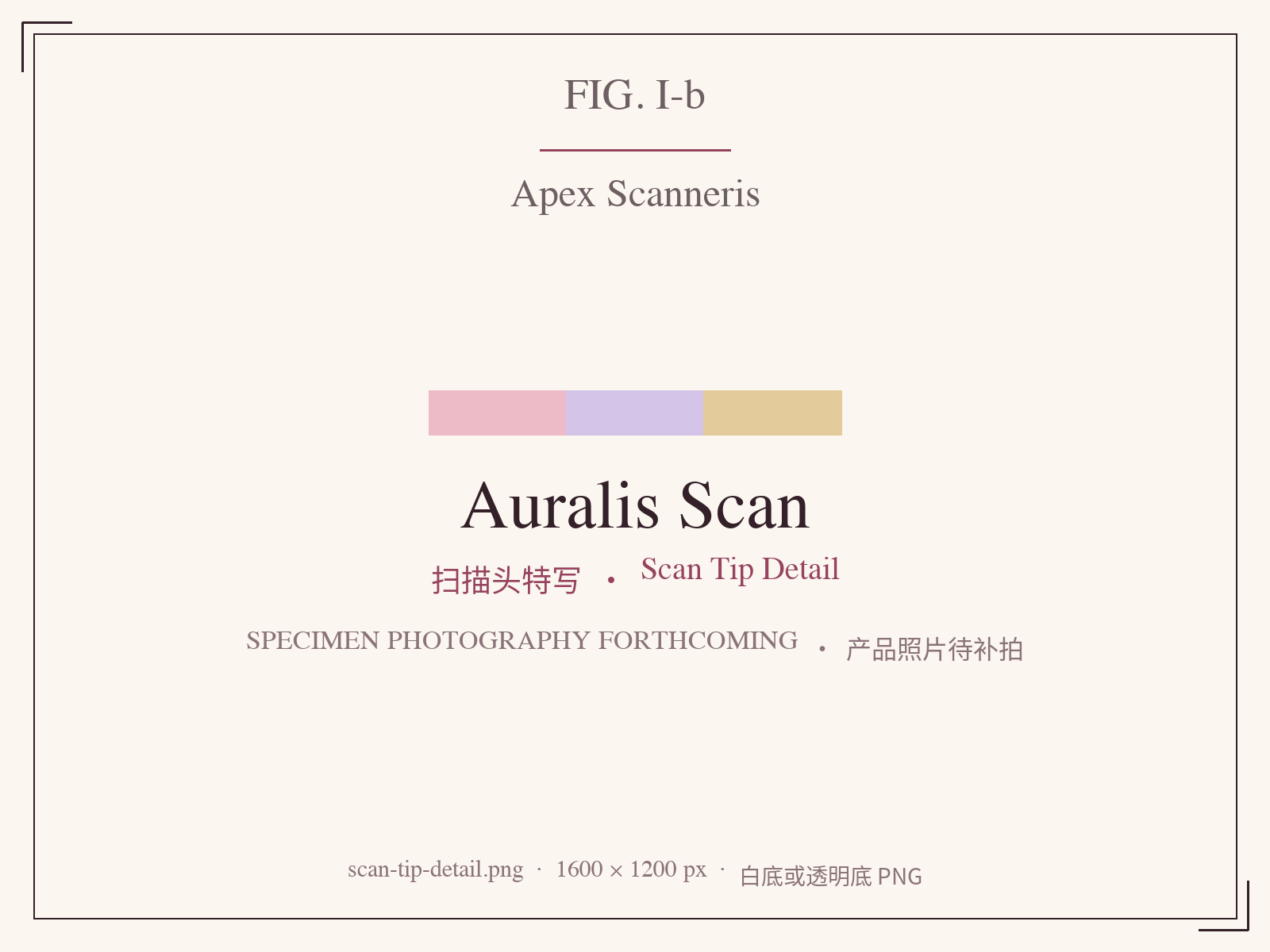 Auralis Scan IO autoclavable scanner tip