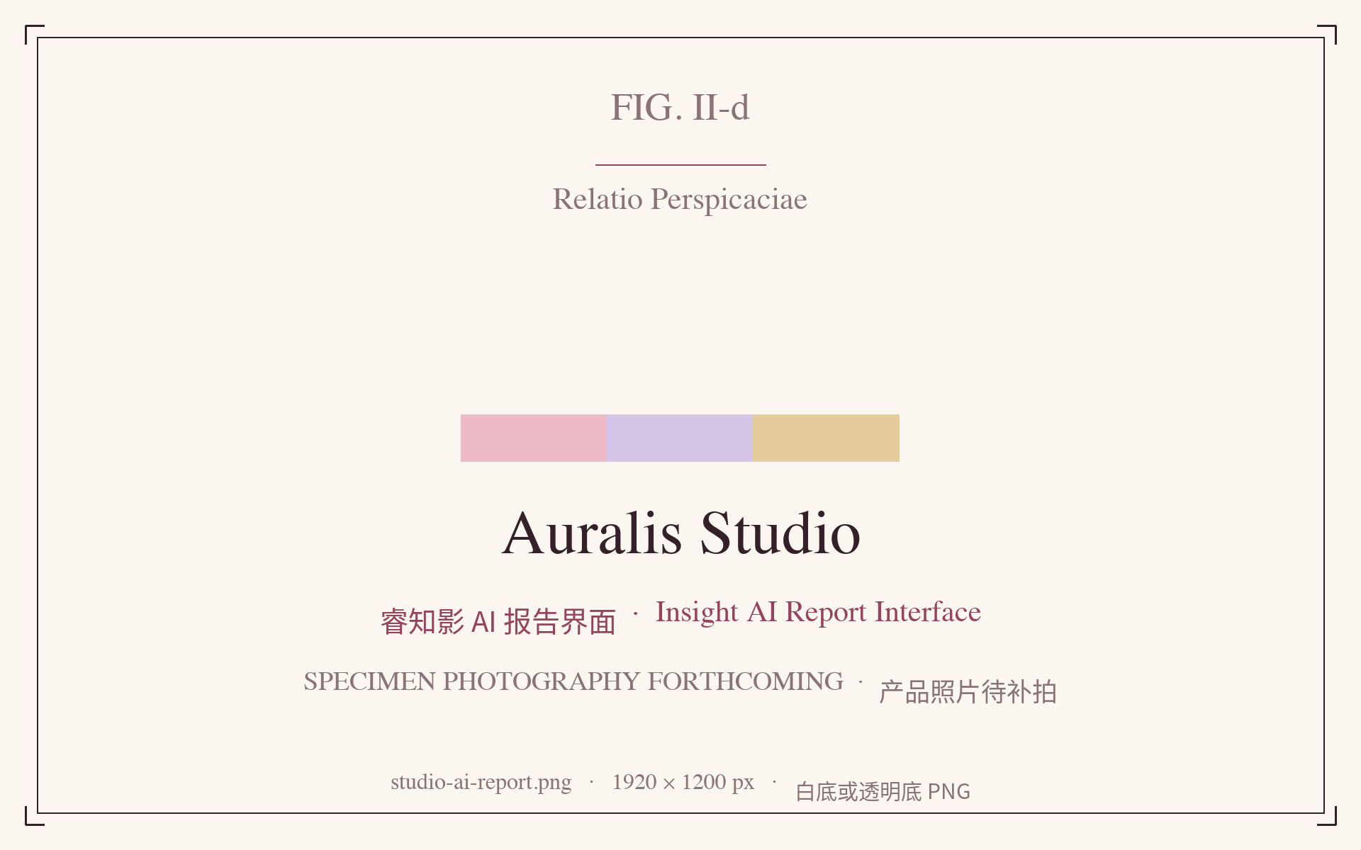Auralis Insight AI examination report