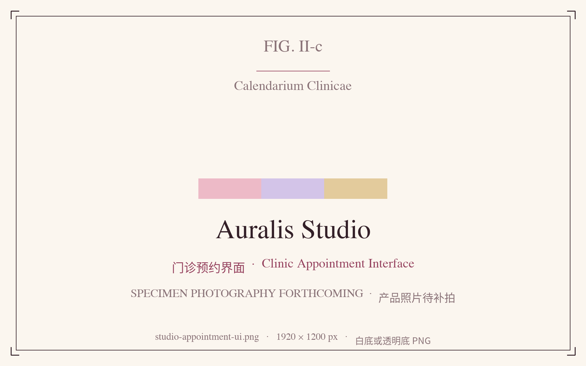 Auralis Studio Clinic appointment interface