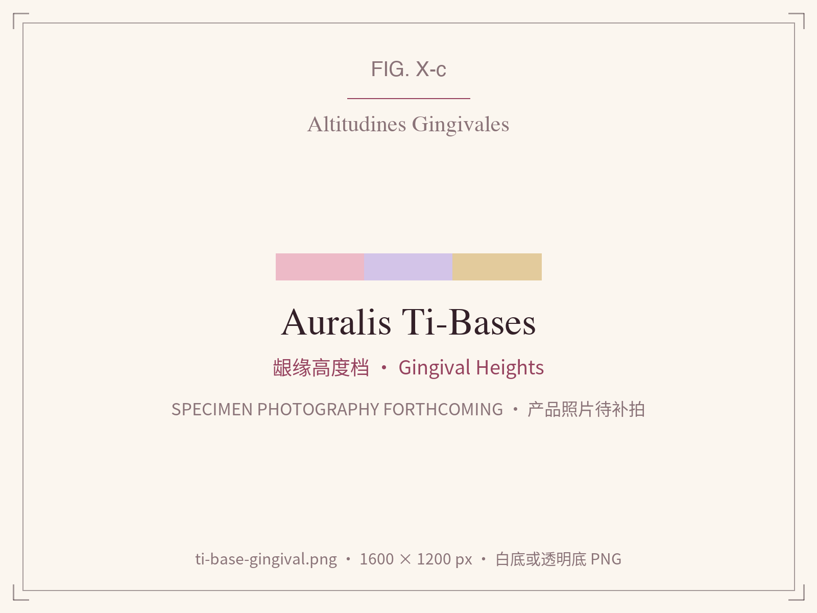 Auralis Ti-Base gingival height steps