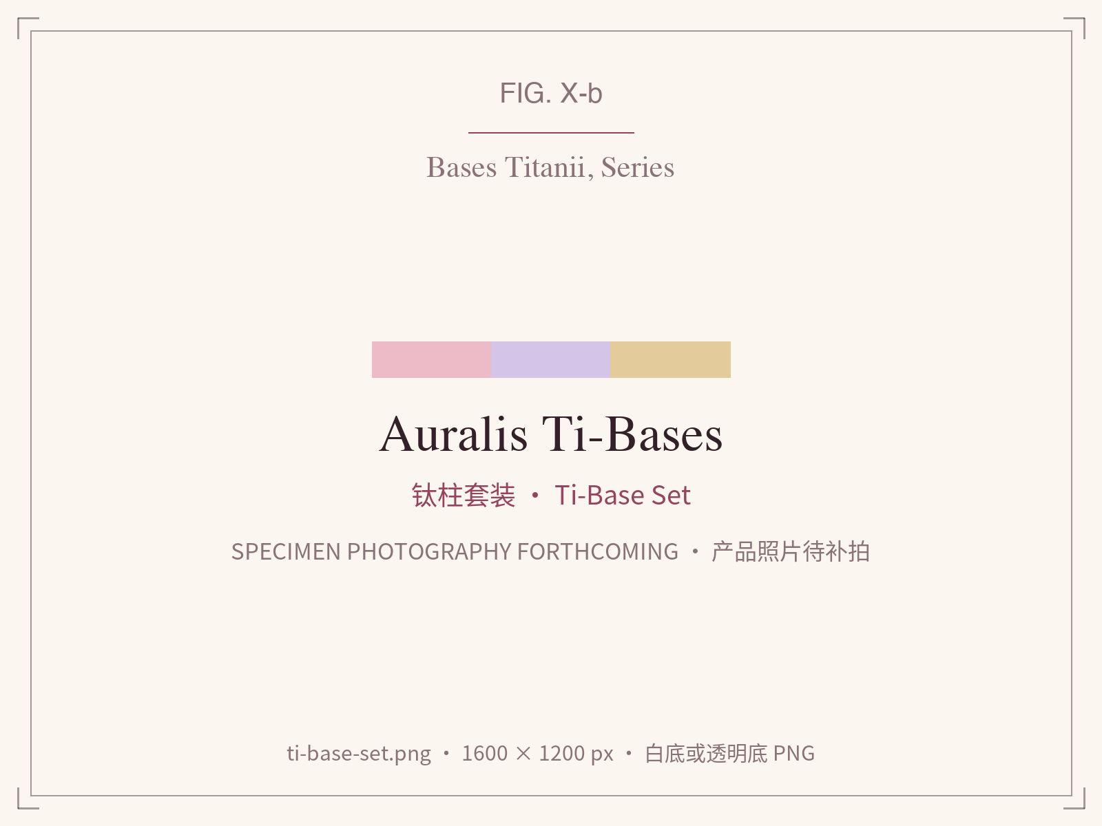 Auralis Ti-Base set, all gingival heights