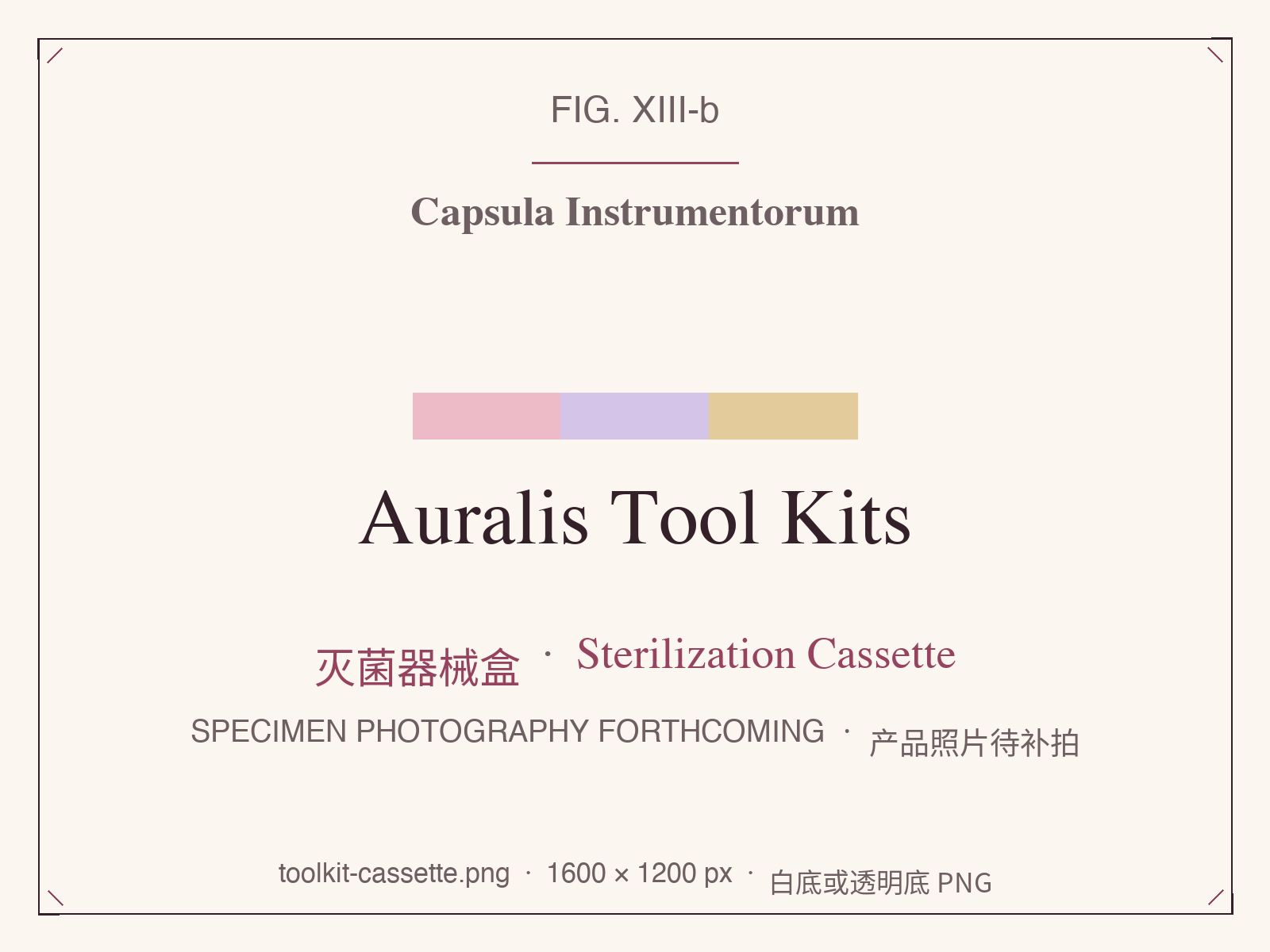 Auralis Tool Kits sterilization cassette