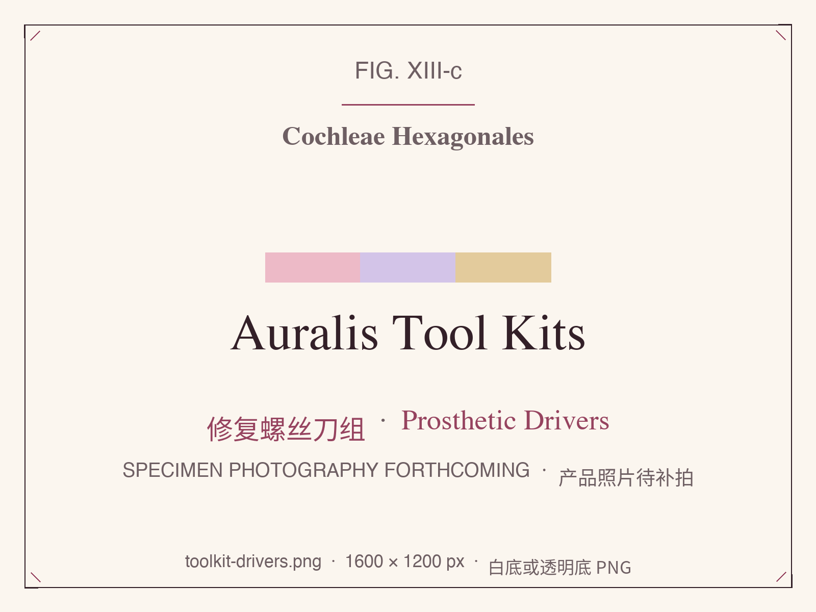 Auralis Tool Kits hex driver set