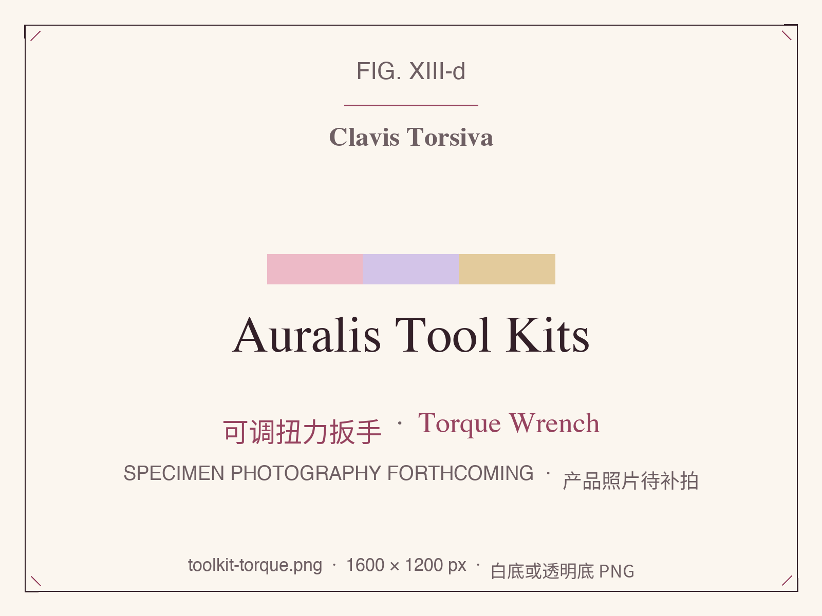 Auralis Tool Kits adjustable torque wrench