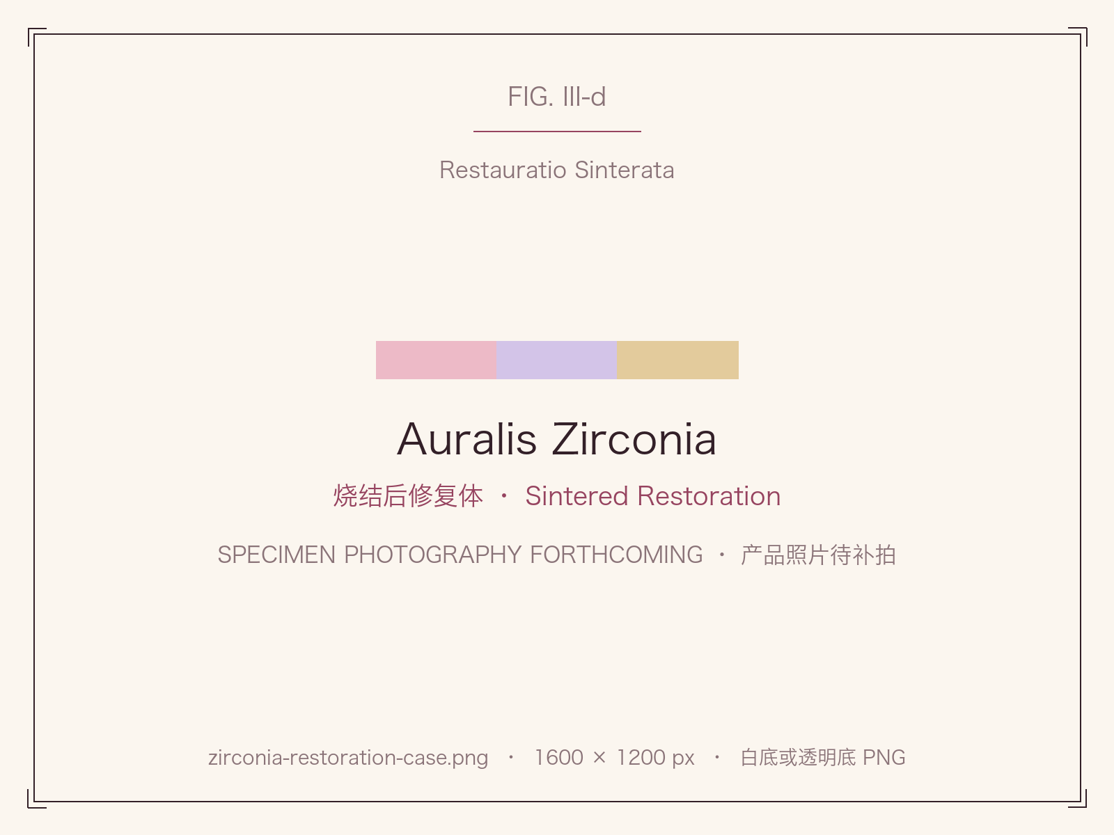 Sintered zirconia restoration